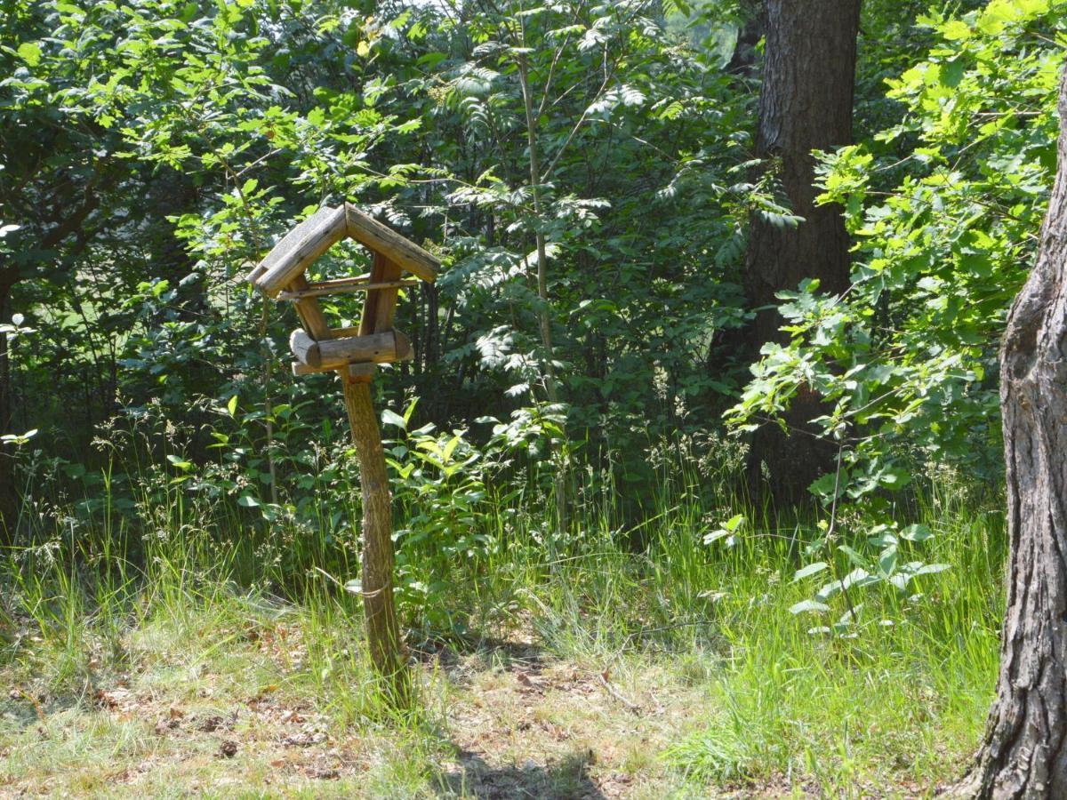 Detached Holiday Home With Sauna Large Garden Stramproy Kültér fotó